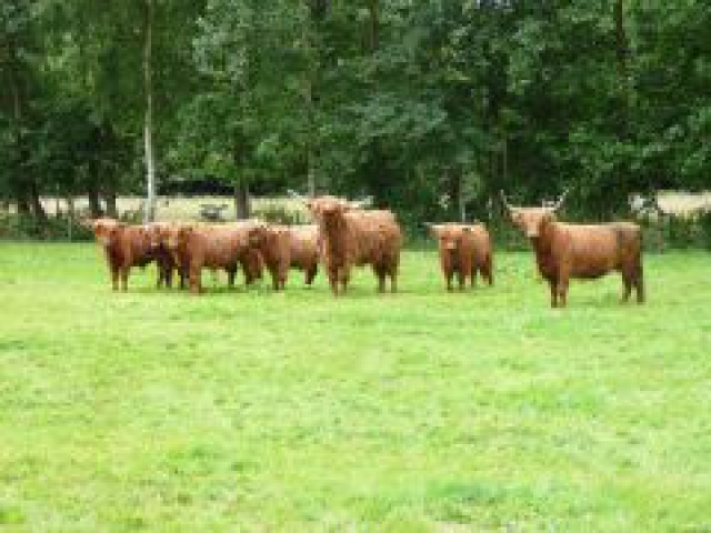 TKP Tocht van Groningen