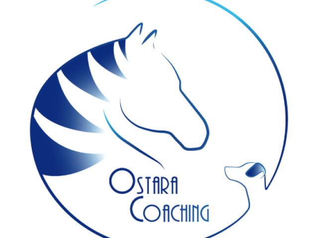 Wat doet een kindercoach? info@ostara-coaching.com