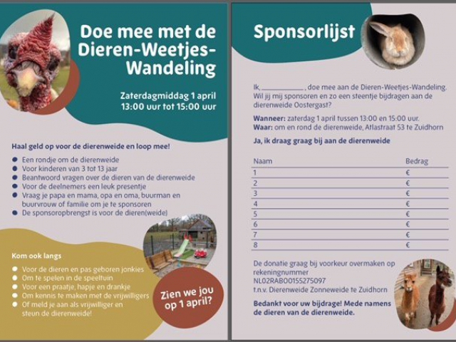 Flyer