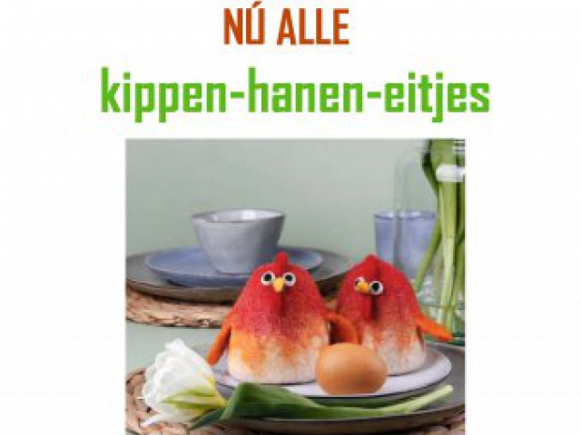 Paasactie