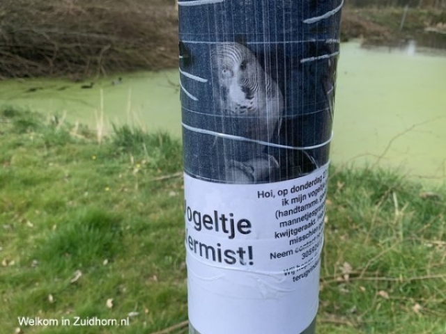 Lantaarnpaal-poster (1)