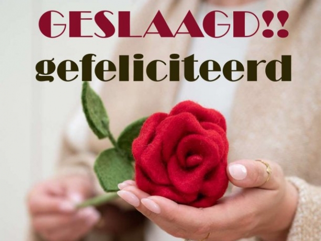 Geslaagd pdf bijgeknipt voor wiz
