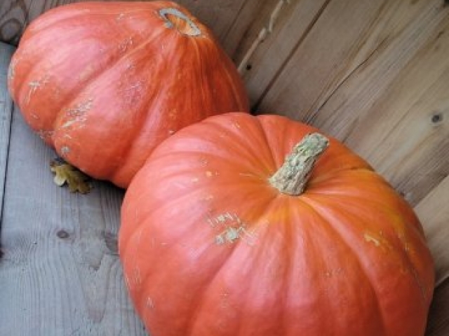 2 pompoen