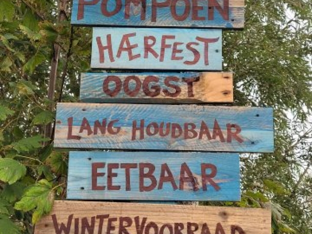 POMPOENEN IN ENUMATIL
