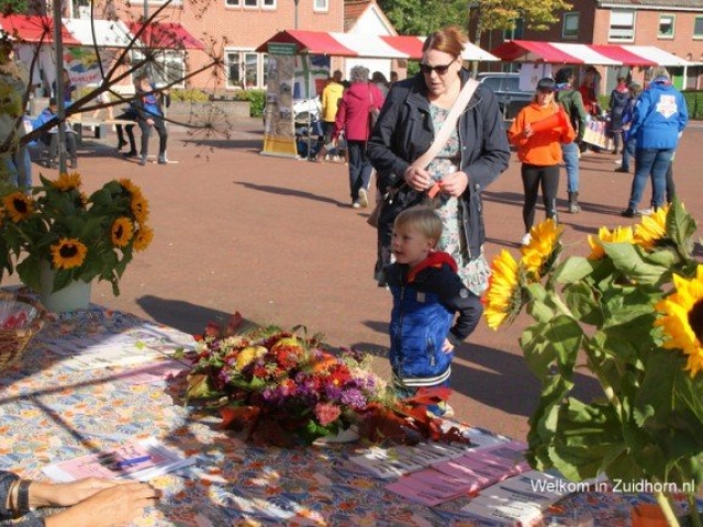 Tuinclub Zuidhorn & Omstreken: presentatie “Verborgen gloed” op 9 november