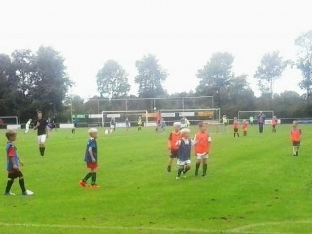 Vv zuidhorn voetbal overzicht