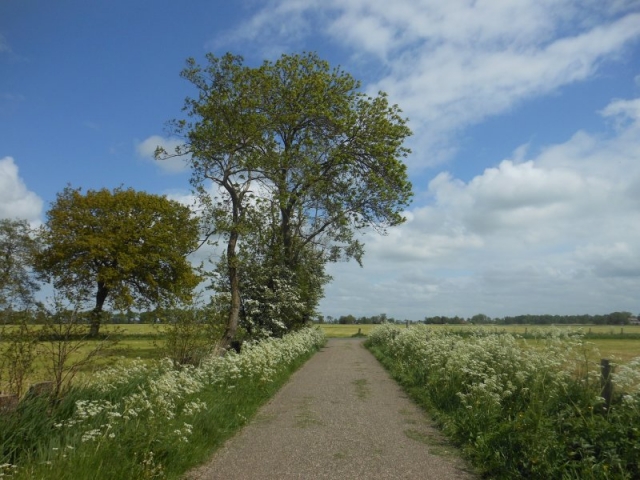 26 mei 2015-1