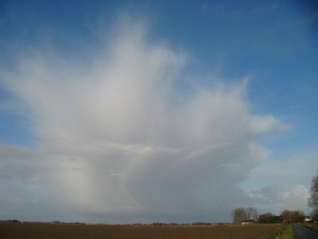 23 jan 2012-4