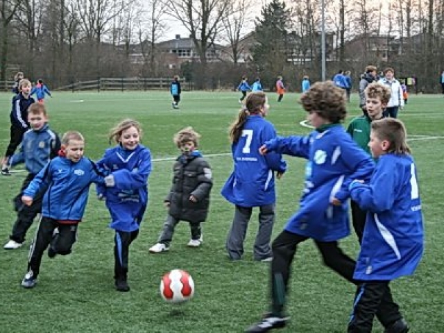 Column-2012-janblauw (1)