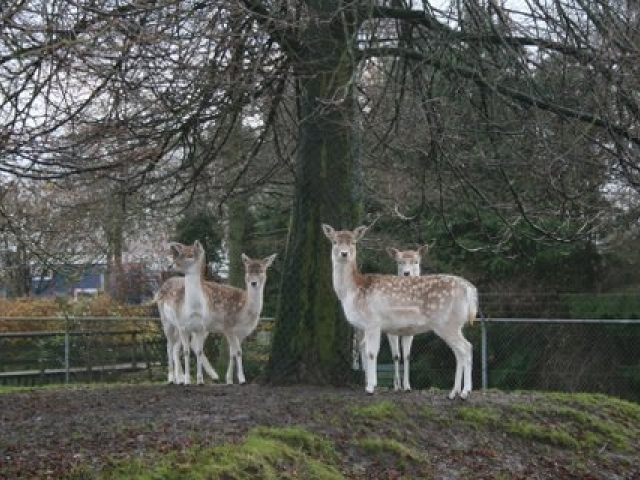 Hertekamp