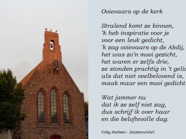 Ooievaars op de kerk