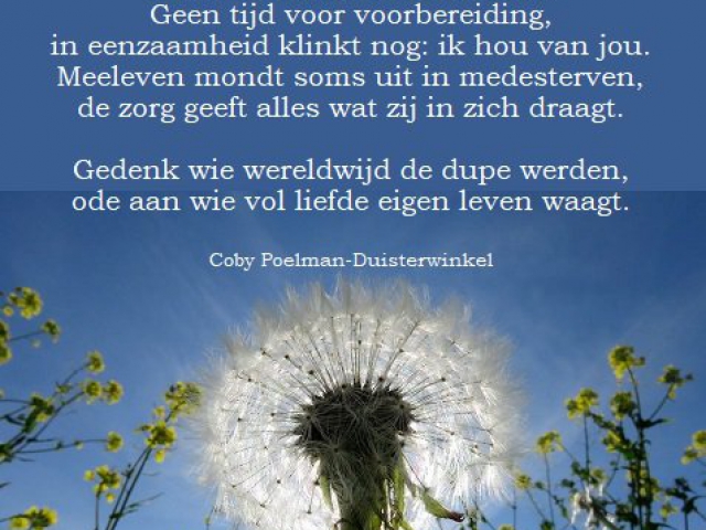 Gedenk paardenbloem