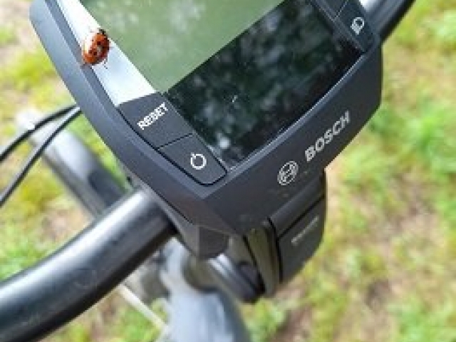 Lieveheersbeestje elec fiets