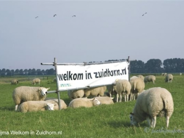 Spandoekpietbijma