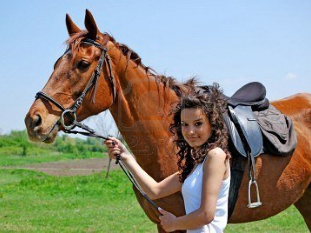 Paard