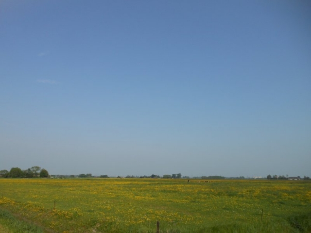 22 mei 2012
