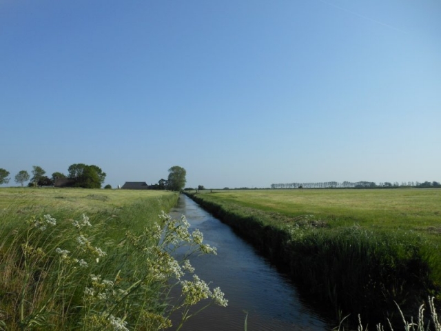 25 mei 2012