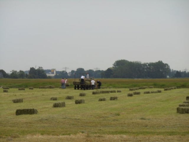 5 juli 2012