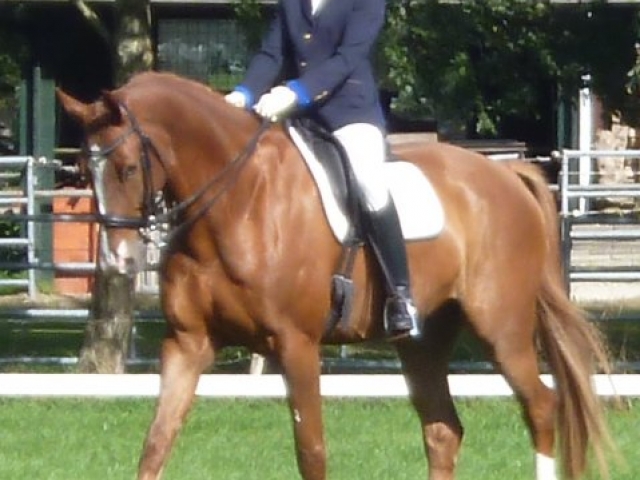 Leo - apie z1 +