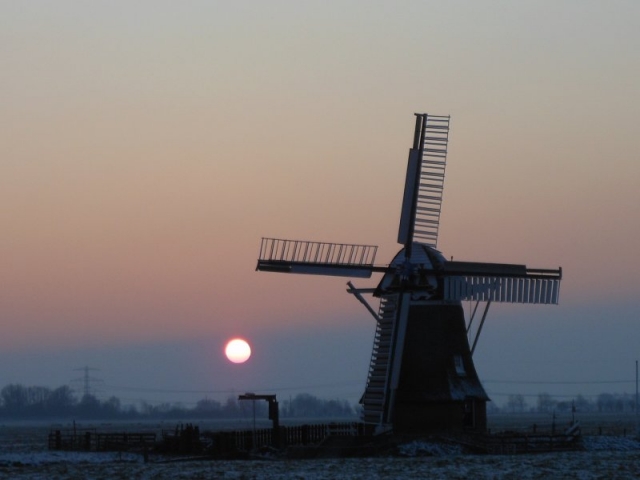 Molen