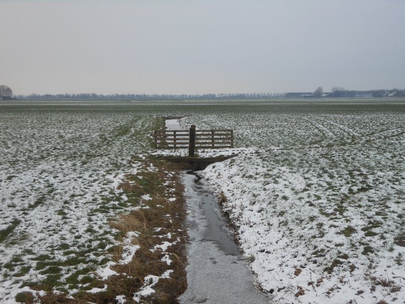 het weer voor de komende veertien dagen 6