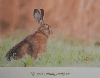 Gedicht van Piety: Op de vroege Paasmorgen